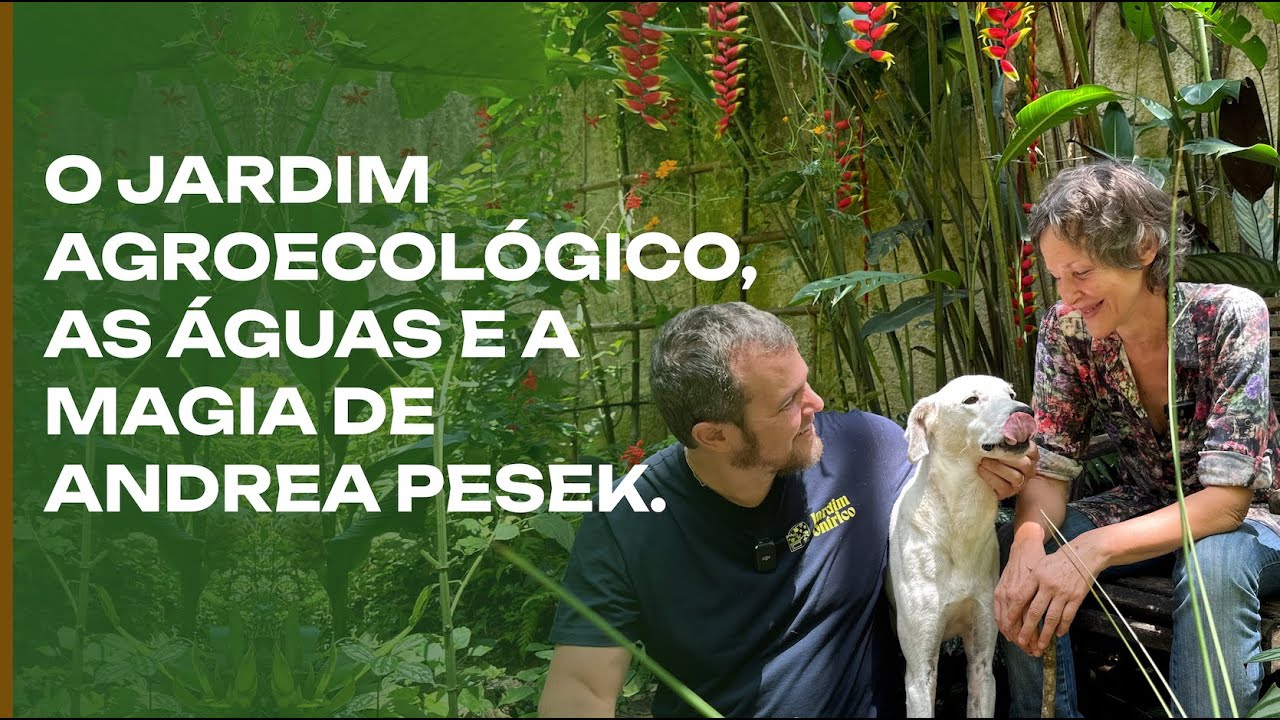 A magia das águas: o potente Jardim Agroecológico da Andrea Pesek.