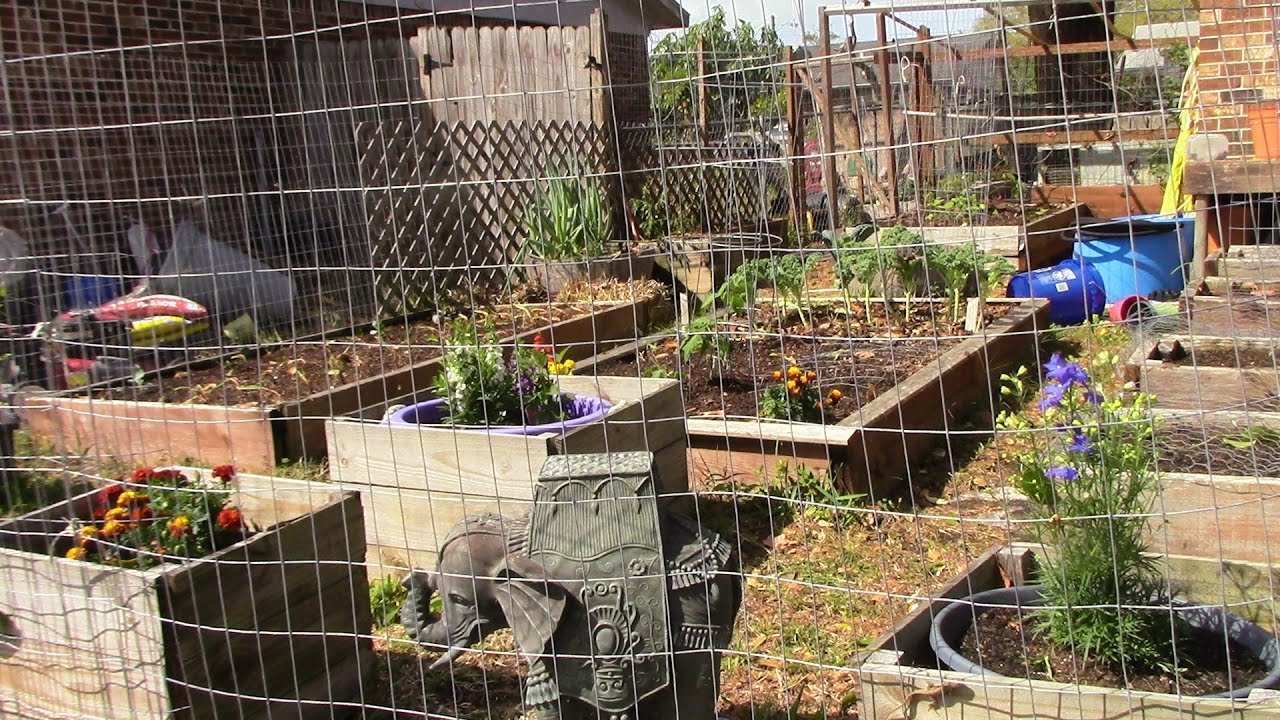 Planting the summer garden in zone 9