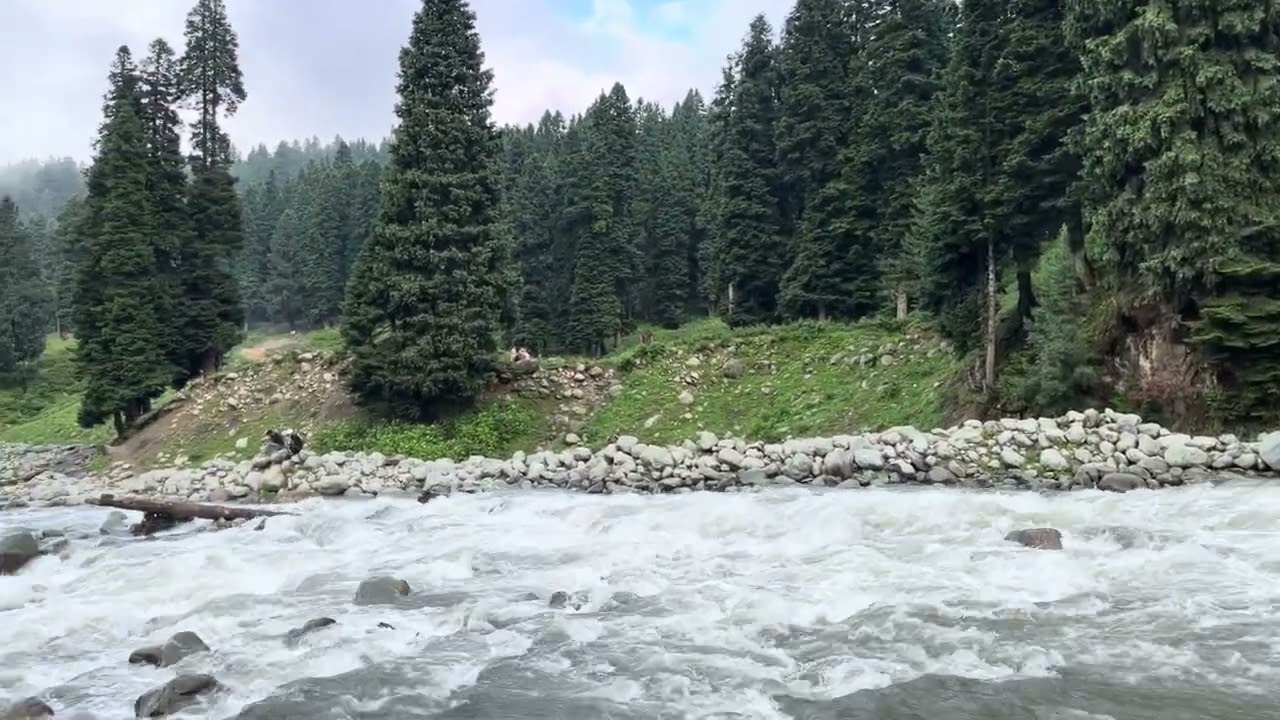 Shaliganga Doodhpathri Kashmir