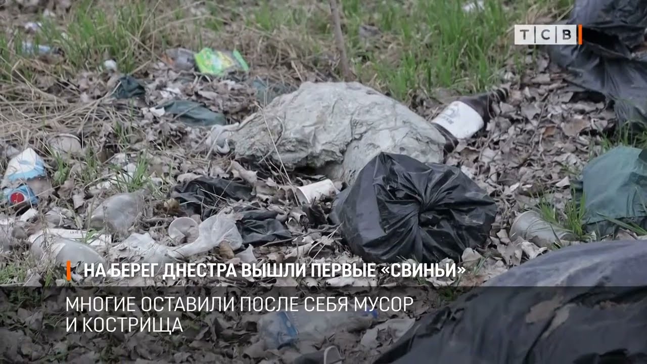 На берег Днестра вышли первые «свиньи»