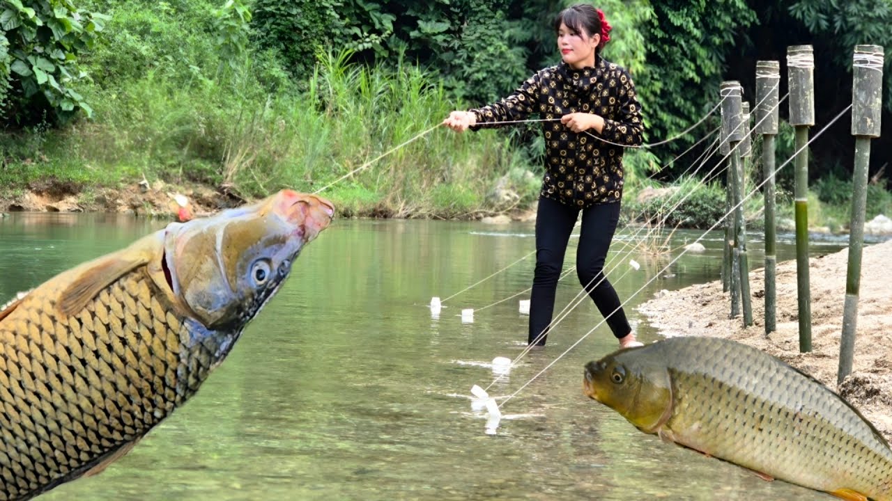 How to use bamboo pipes to fish, catch lots of carp in the wild and cook in the stream