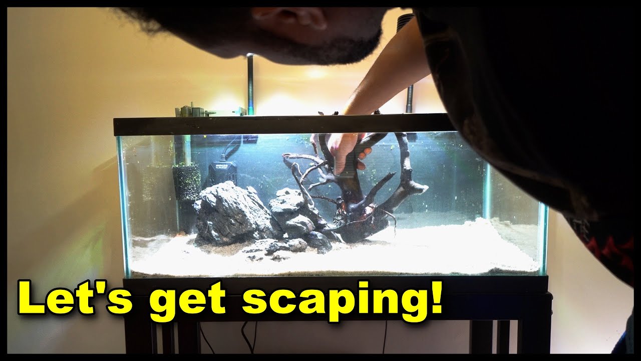 20 Gallon Guppy Tank and 8 gallon scape