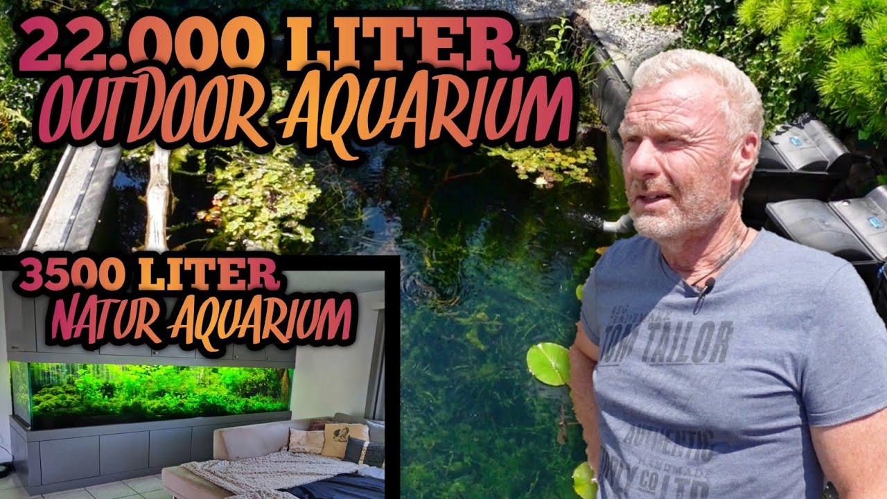 Das HEFTIGSTE Outdoor & Natur AQUARIUM | Ein TRAUM wird wahr!