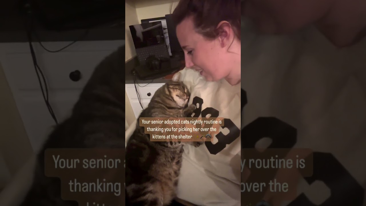 How My Senior Cat Saved Me ❤️🐾 (A Bond That Changed Everything)