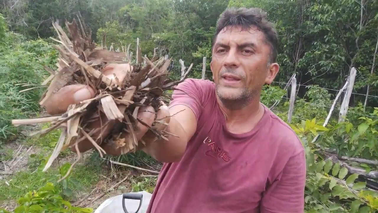 APROVEITANDO A BAGANA VELHA PRA FAZER SUBSTRATO