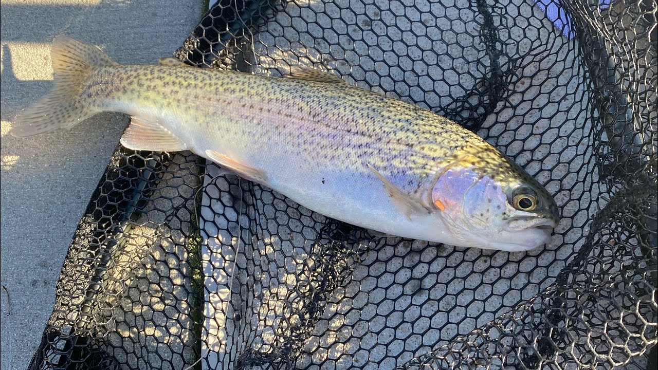 Fly fishing for the first time ever 