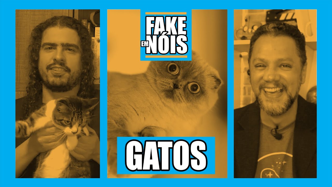OS GATOS DO PIRULA E AS MELHORES FAKE NEWS SOBRE OS FELINOS | FAKE EM NÓIS COM PIRULA E GILMAR