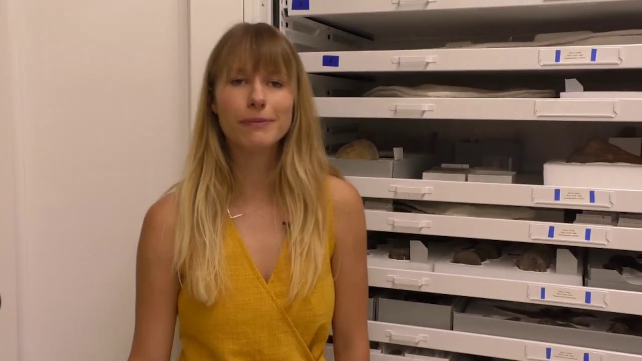 Paleontology Collections & Lab Tour