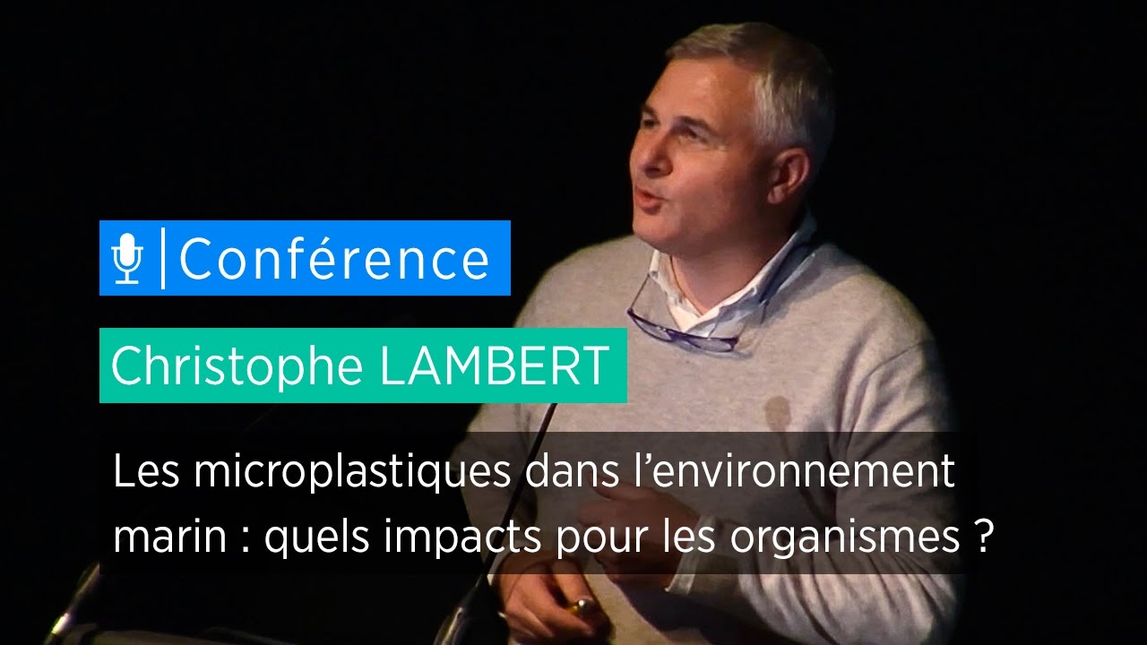 Les microplastiques dans l'environnement marin : quels impacts pour les organismes ? - de C. Lambert