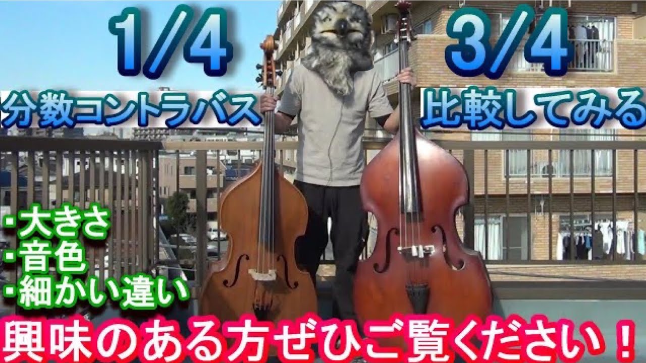 【分数コントラバス】1/4 と 3/4 大きさや音を比べる // サイズはどうやって決まるか？形の違い？細かいところ・・など // Compare fractional double bass