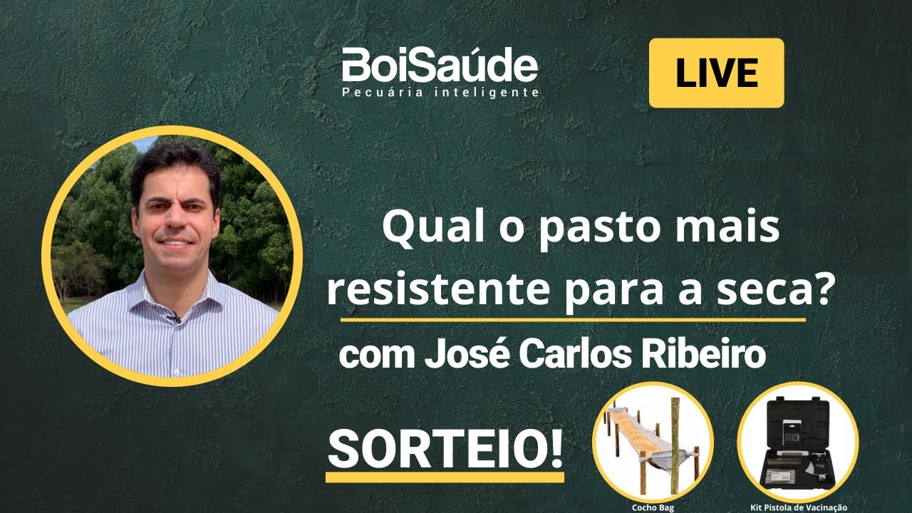 #148 QUAL O PASTO MAIS RESISTENTE PARA A SECA? | AO VIVO - 15/05/2023