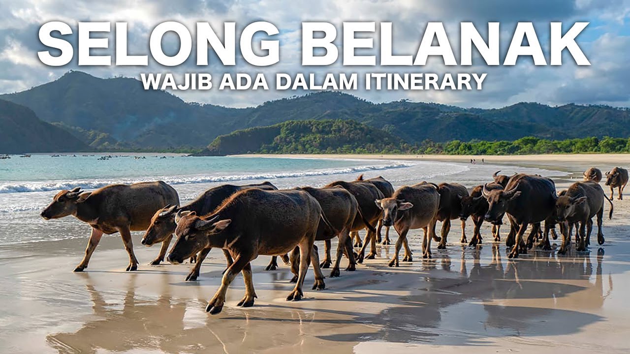 Selong Belanak yang Menakjubkan: Meluncur, Pantai & Pemandangan Indah