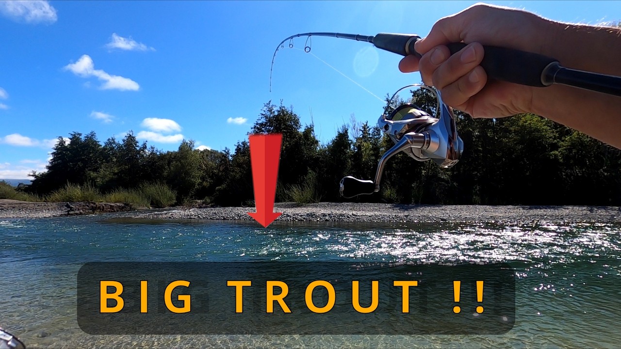 TROUT FISHING Catching 2 BIG Brown TROUT