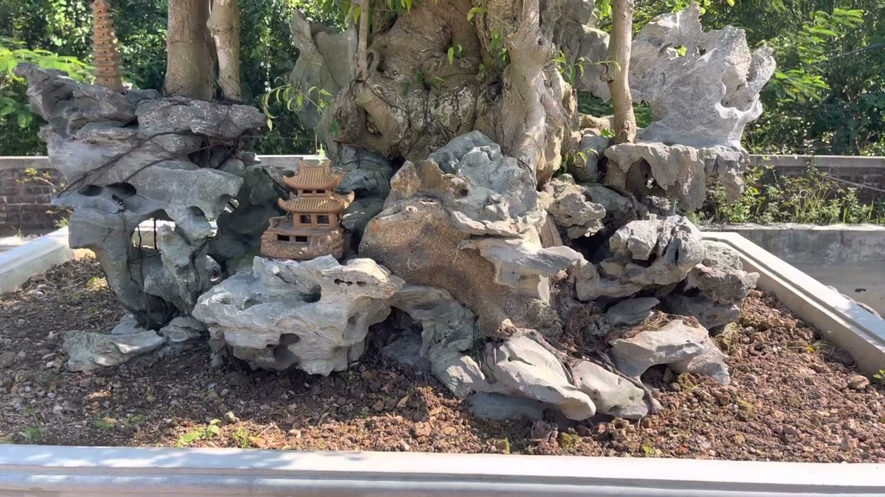 @ TRÊN ĐỈNH PHÙ VÂN HÔM NAY 17-10-2022