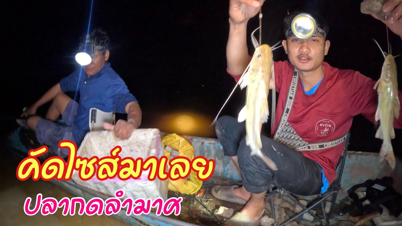 เอาแล้วไง!!กลับมาอีกครั้งใส่เบ็ดหาปลากดเหลืองแม่น้ำ รอบนี้คัดไซส์เลย ปลากดสดๆต้มซดน้ำร้อนๆกับทีมงาน
