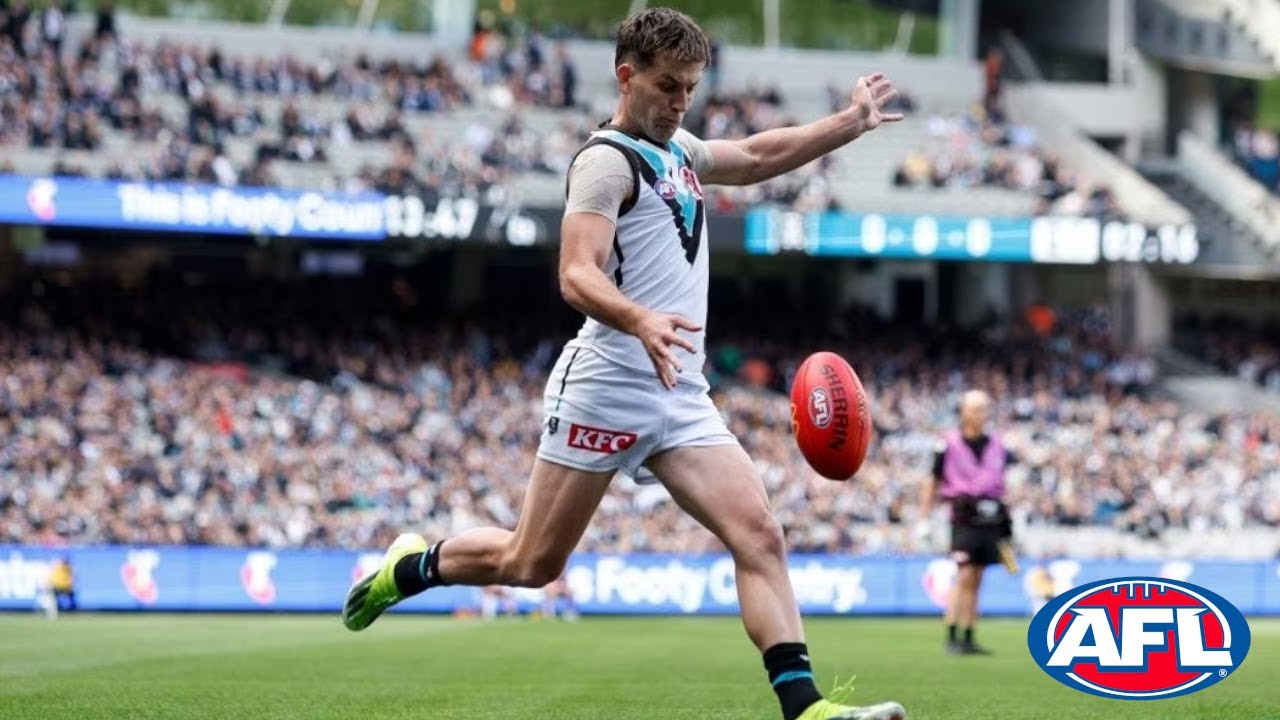 Zak Butters Round 6 AFL Highlights (31 Disposals) | 2024