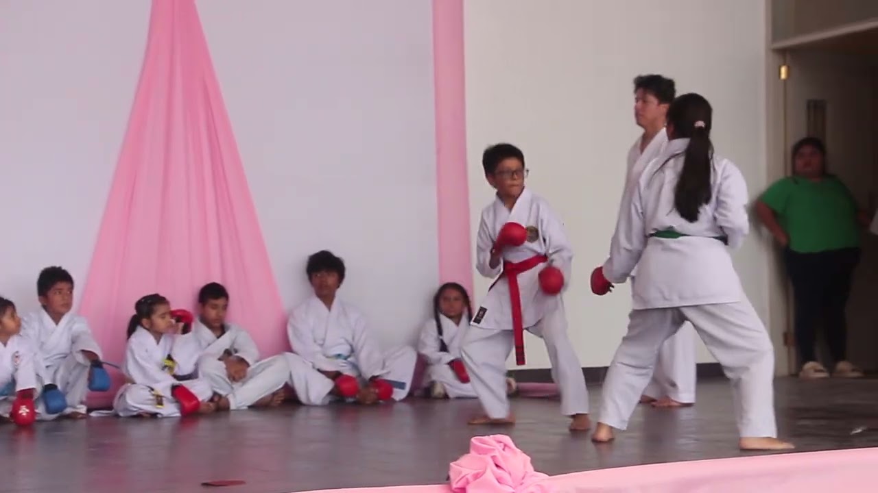 GRAN CLAUSURA VERANO 2026 ACADEMIA 
