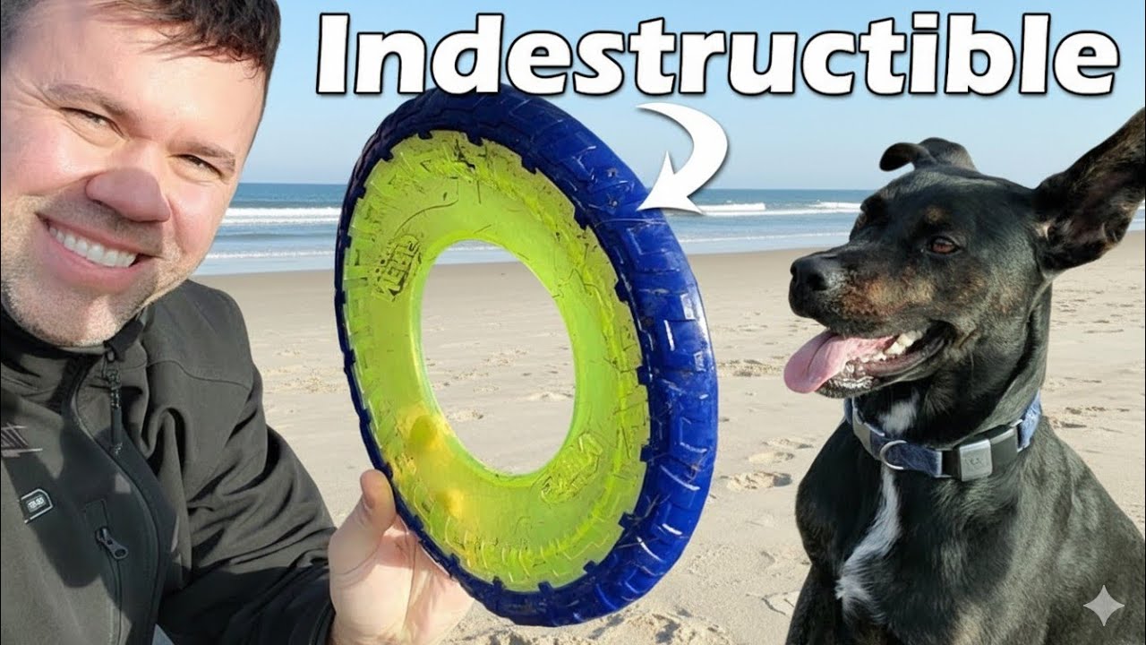 Best Dog Frisbee | Nerf Flyer is Strong and Flies Far!