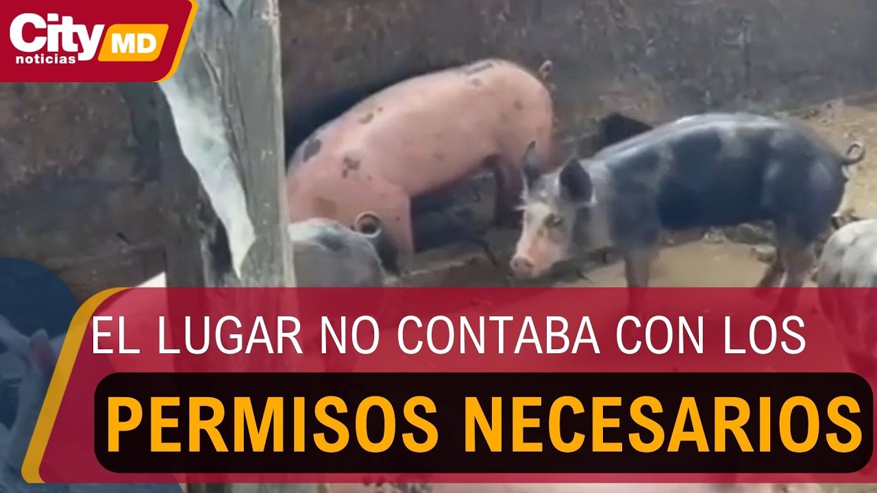 Suspenden porc&iacute;cola en La Calera por vertimientos y afectaciones ambientales | CityTv