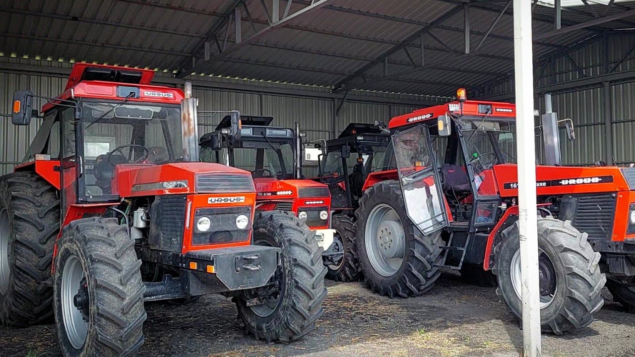 ☆POKAZ PIĘKNYCH URSUS&Oacute;W GR DOBBER ㋡☆JEDYNE TAKIE W POLSCE? !!☆ 6xURSUS!! 55TKA NA WARSZTACIE? ㋡☆