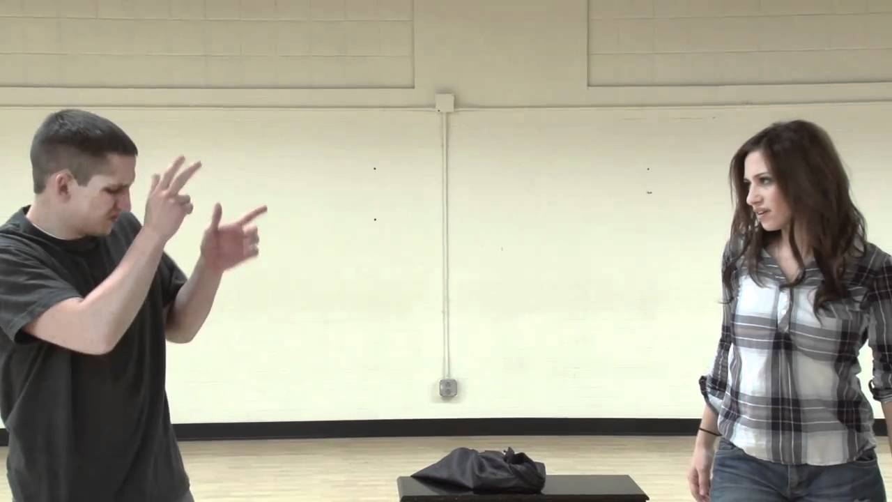 Rihanna and Eminem - Love the Way You Lie in ASL