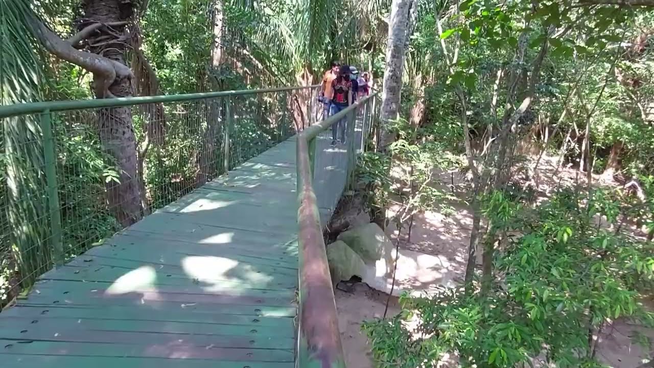 Güembé  (Santa Cruz - Bolivia)