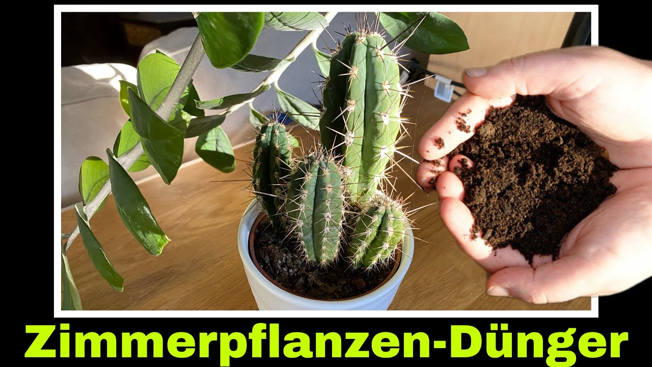kostenloser Pflanzend&uuml;nger selbstgemacht | Zimmerpflanzen nat&uuml;rlich d&uuml;ngen | Selbstversorgung