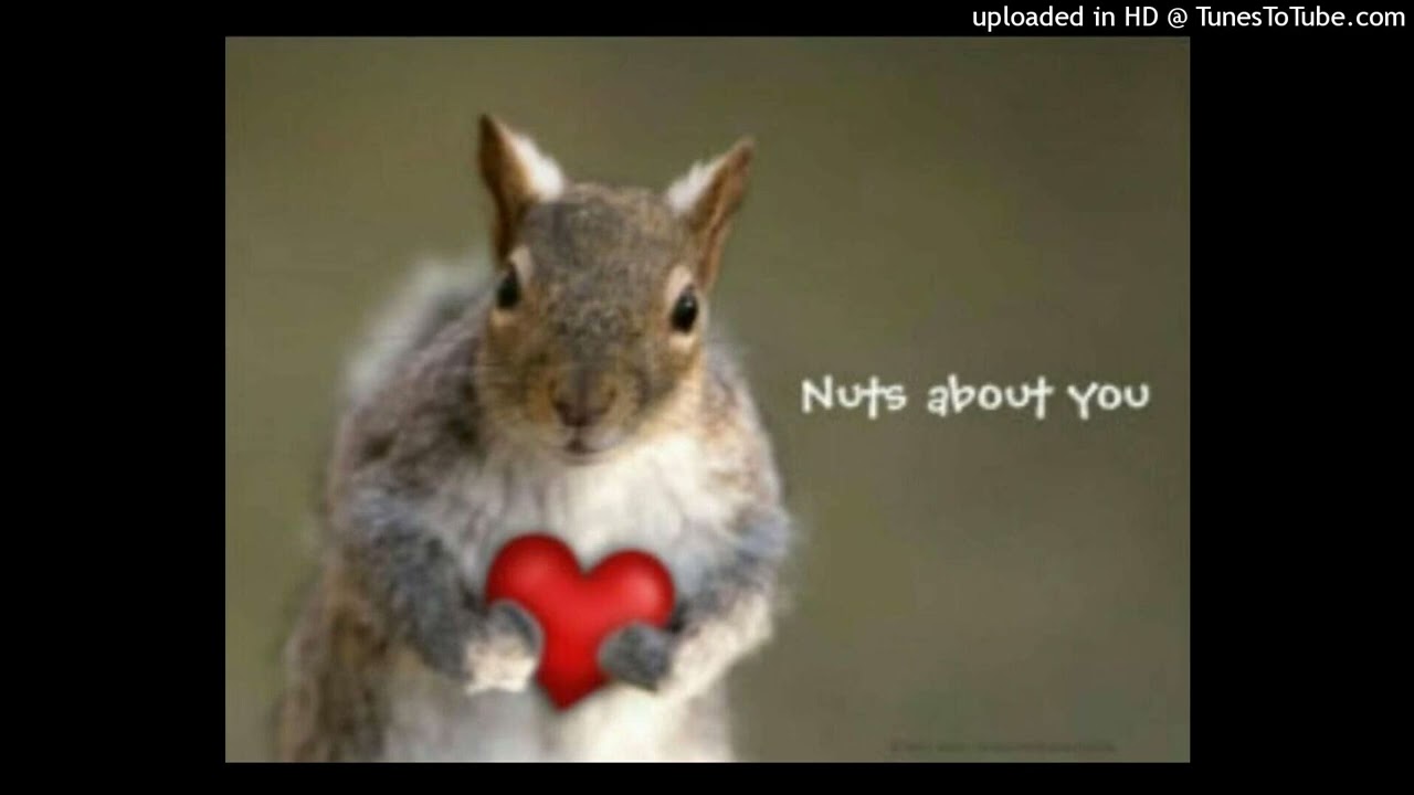 xaviersobased type beat (tysm for 900 subs!!! 🥹)