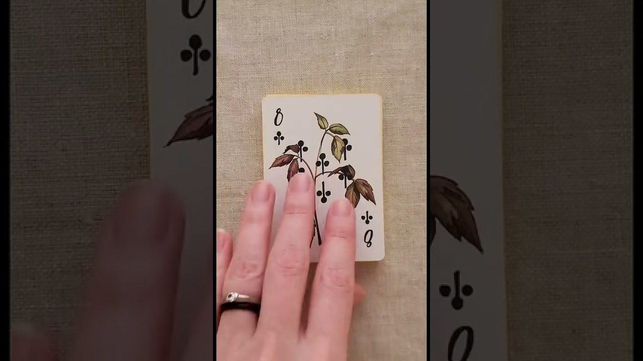 Vaxa Deck Flip Through