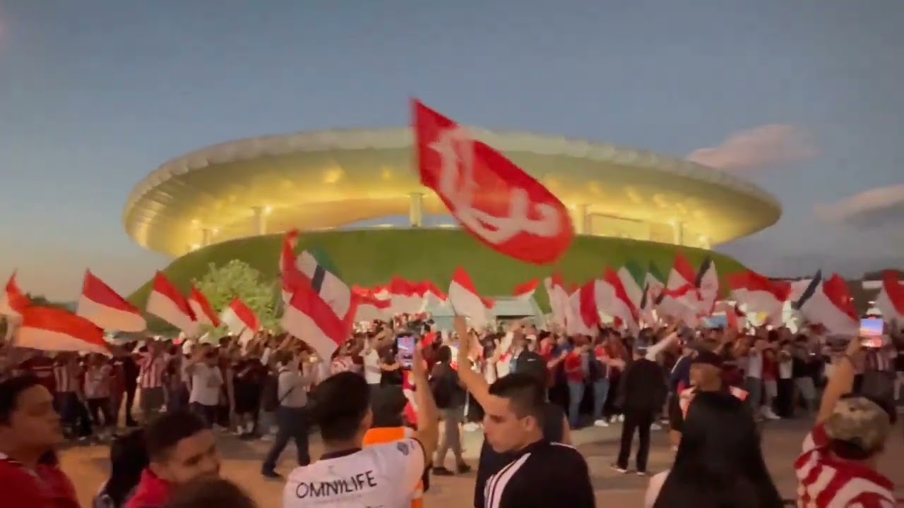 a la cancha voy con mis amigos, chivas