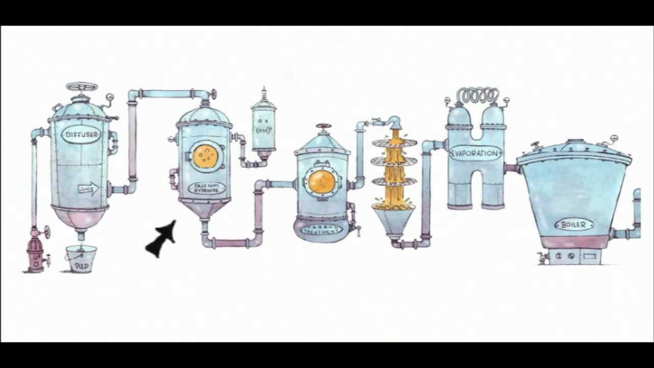 How Is Beet Sugar Processed?