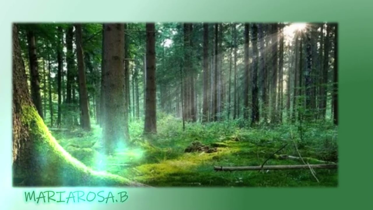 MARIAROSA.B/IL CIELO IN UNA STANZA/JAZZ VERSION/COVER ON LIVE