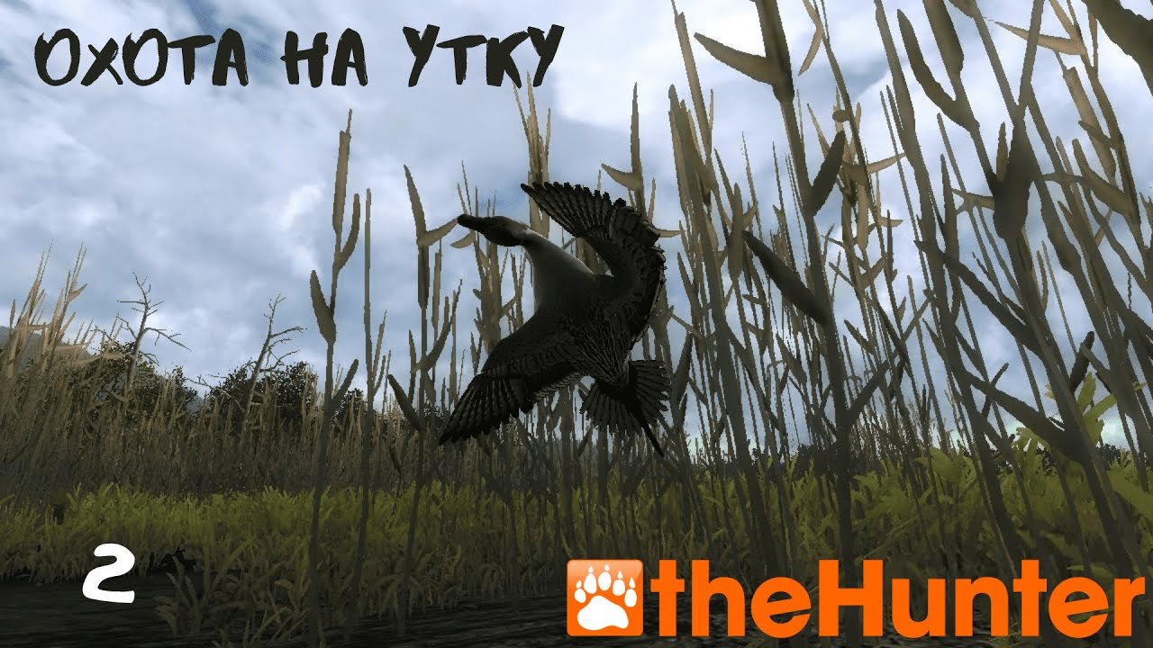 ▪ theHunter Classic ▪ Охота на утку ▪
