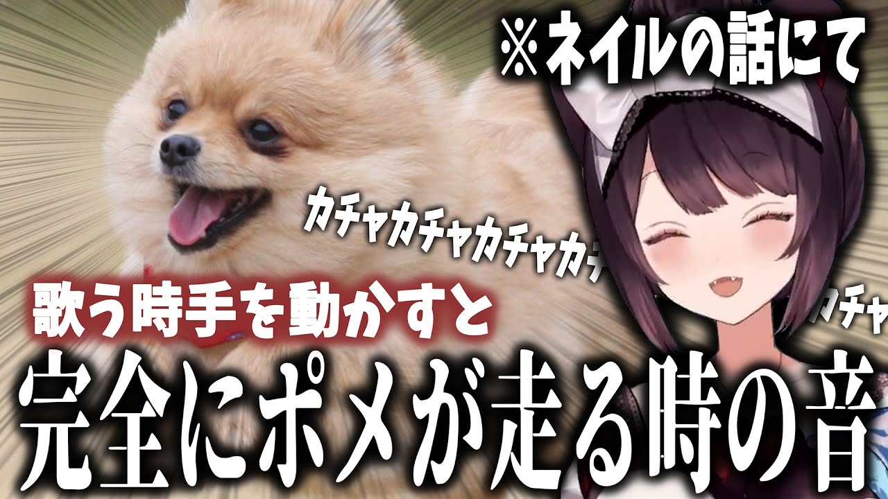 【配信まとめ】収録で音が鳴るネイルをしてしまいポメラニアン化してしまった時の話をする戌亥とこまとめ【雑談切り抜き/にじさんじ/戌亥とこ】