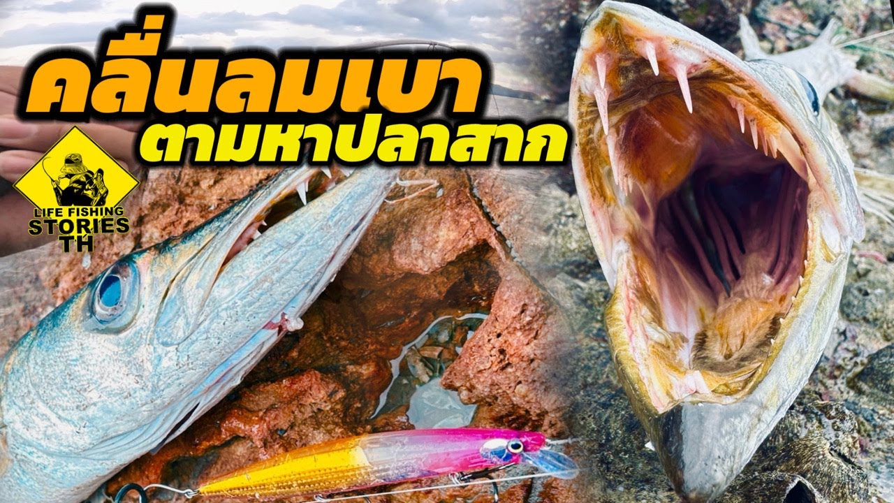 คลื่นลมเบา ตามหาปลาสาก   Shore fishing [ LFST ตกปลาด้วยเหยื่อปลอมชายฝั่ง82 ]