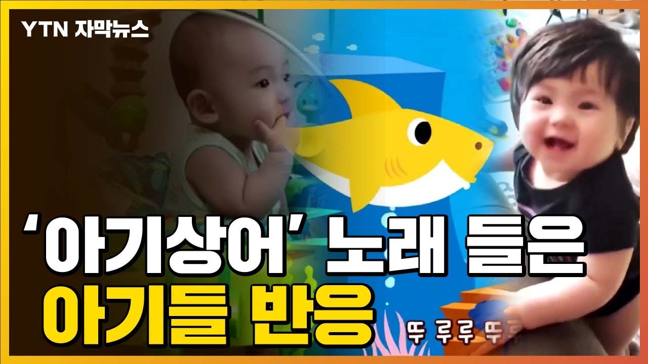 [자막뉴스] '아기상어' 노래 들은 아기들 반응 보니...'다이아몬드 인증' 받을 만하네! / YTN