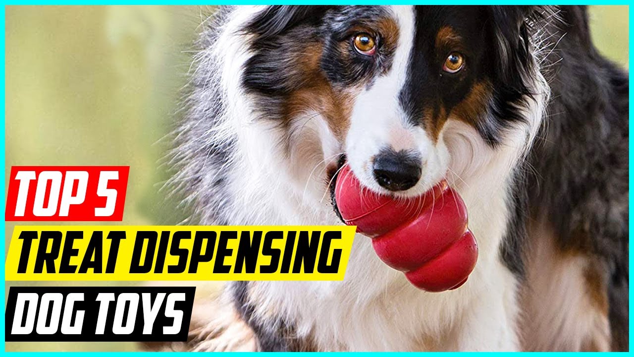 Top 5 Best Treat Dispensing Dog Toys
