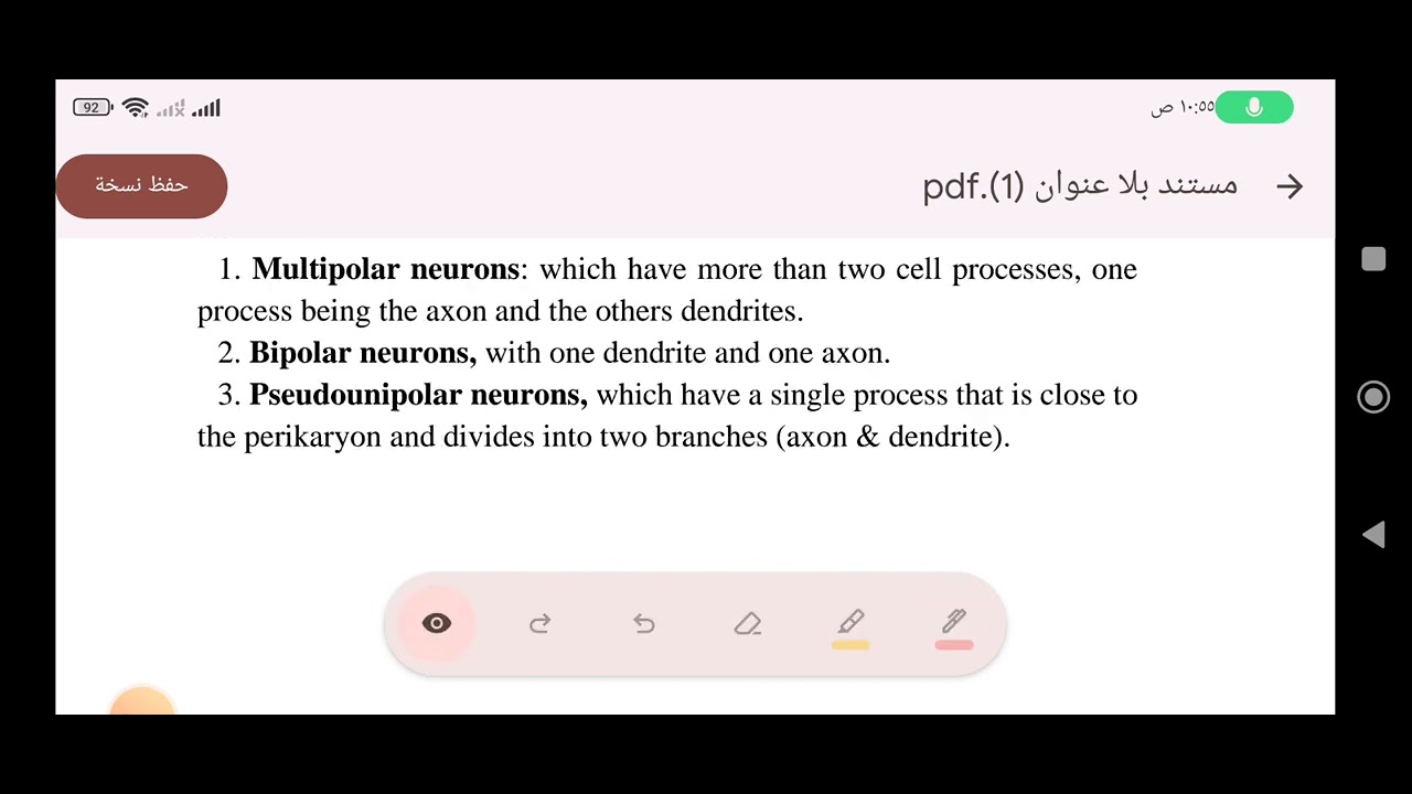 histology of the nerves system