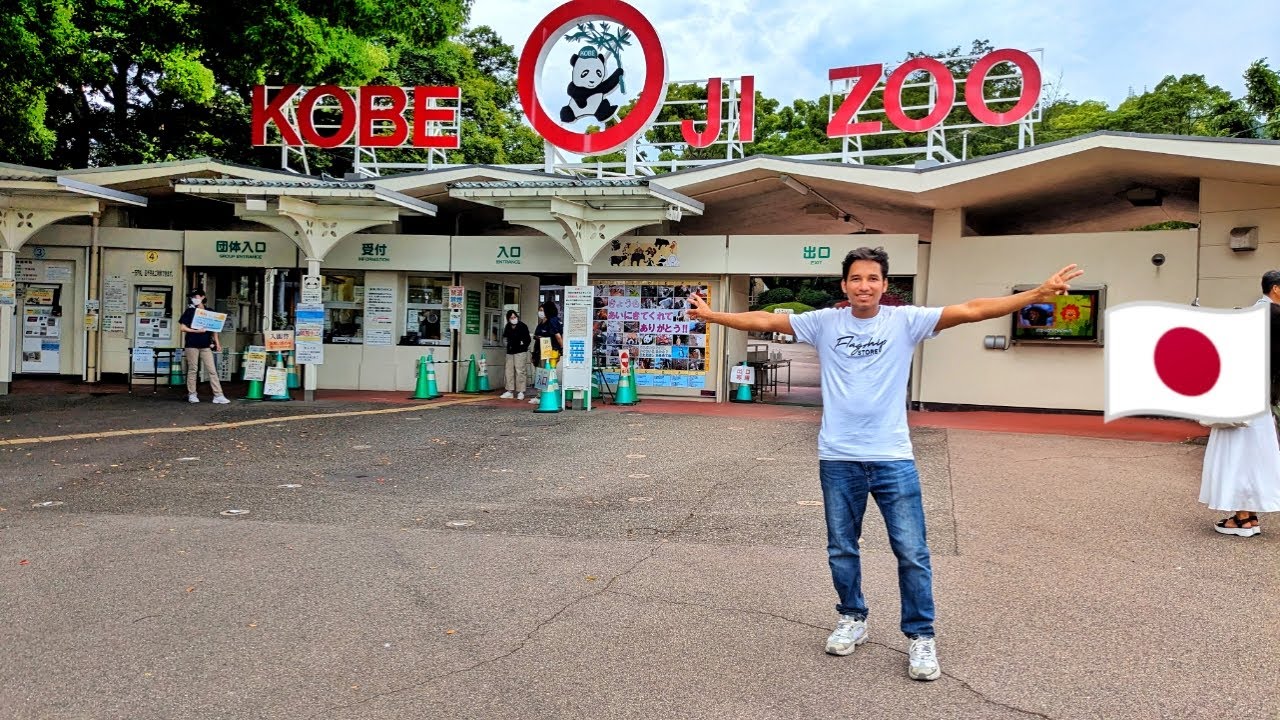 Best Zoos in Japan| Kobe Oji Zoo| Panda in Japan| Wildlife 4k| Aquarium Park Japan