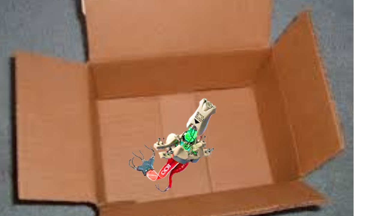 sandy in a box (Cyberpunk 2077)