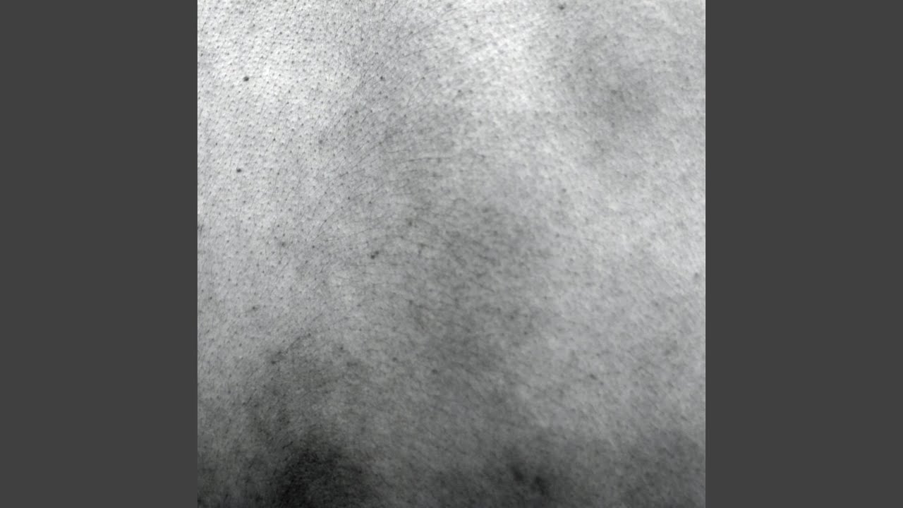 Crowd
