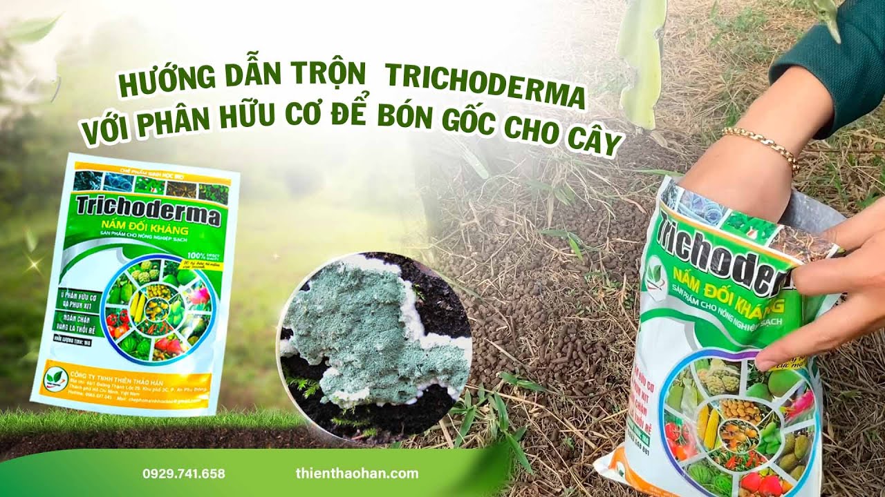 Hướng dẫn trộn nấm Trichoderma phân hữu cơ để bón gốc cho cây trồng