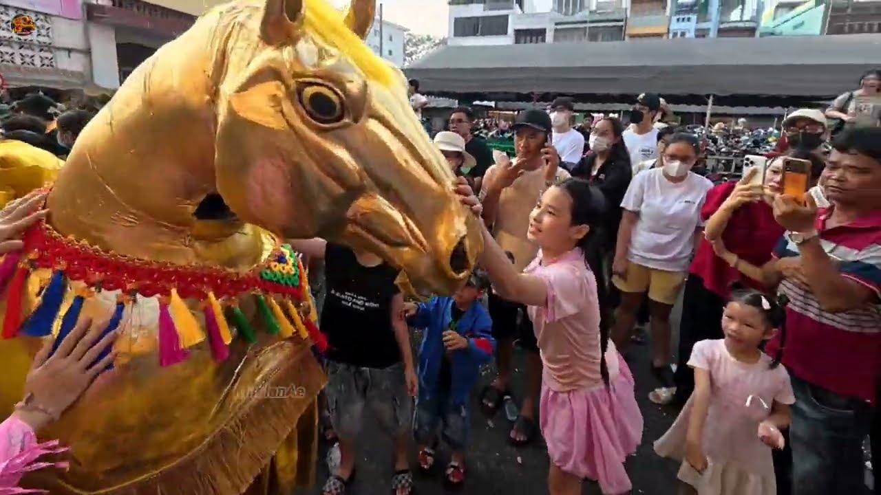 舞狮平阳省 仁义堂和很多队龙狮团 巡游