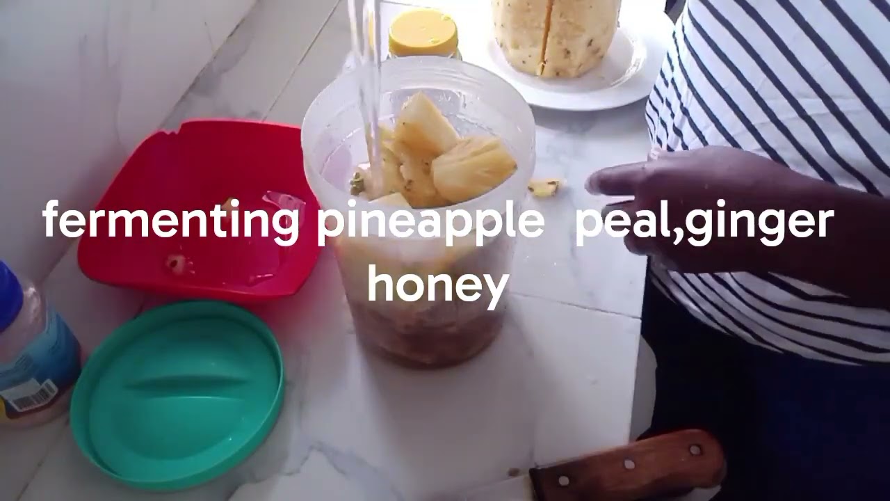 Fermenting pineapple peal