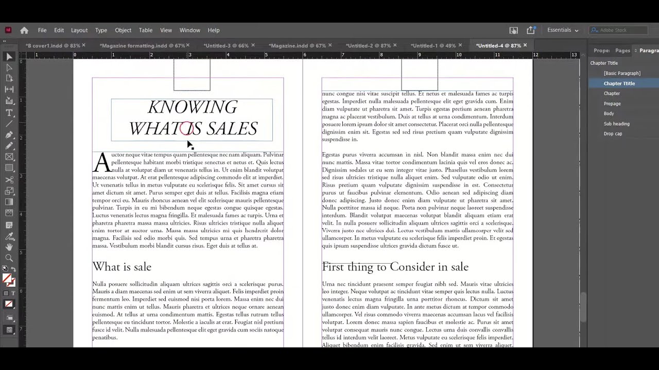 Complete Guide to Book Formatting with Adobe InDesign | Professional Tips & Techniques