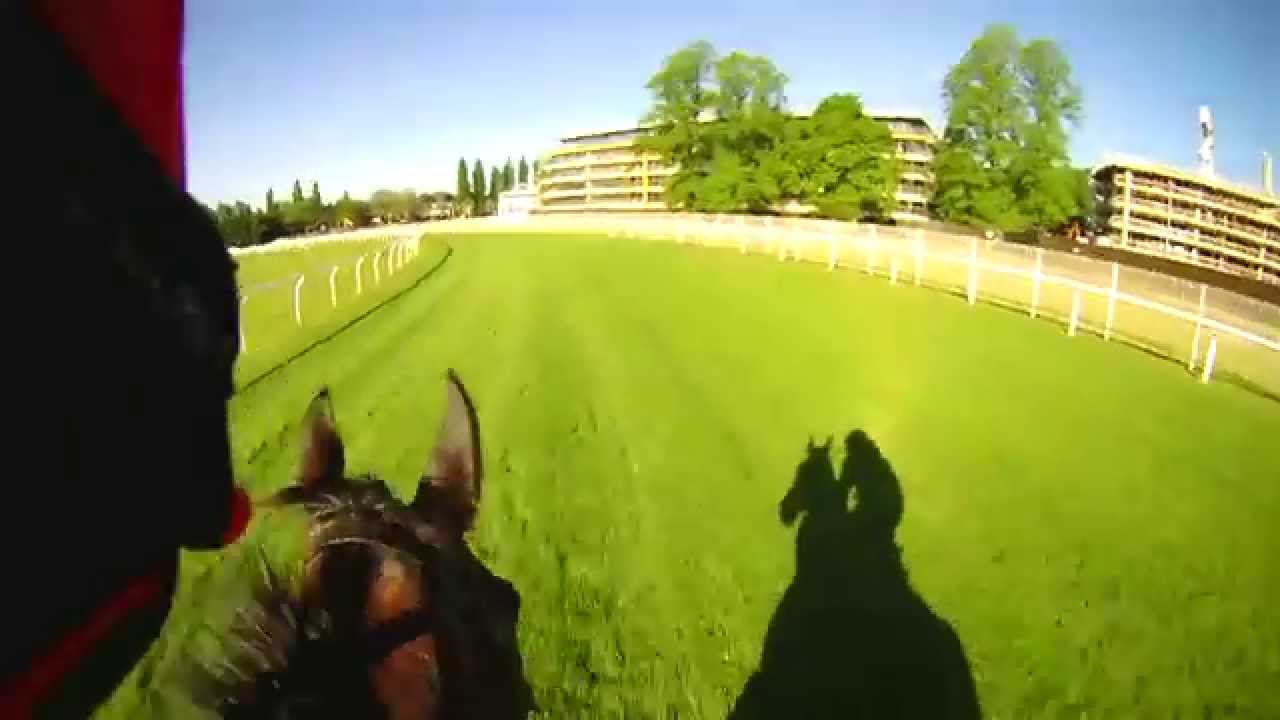 Champions Series Course Ride: Al Shaqab Lockinge Stakes