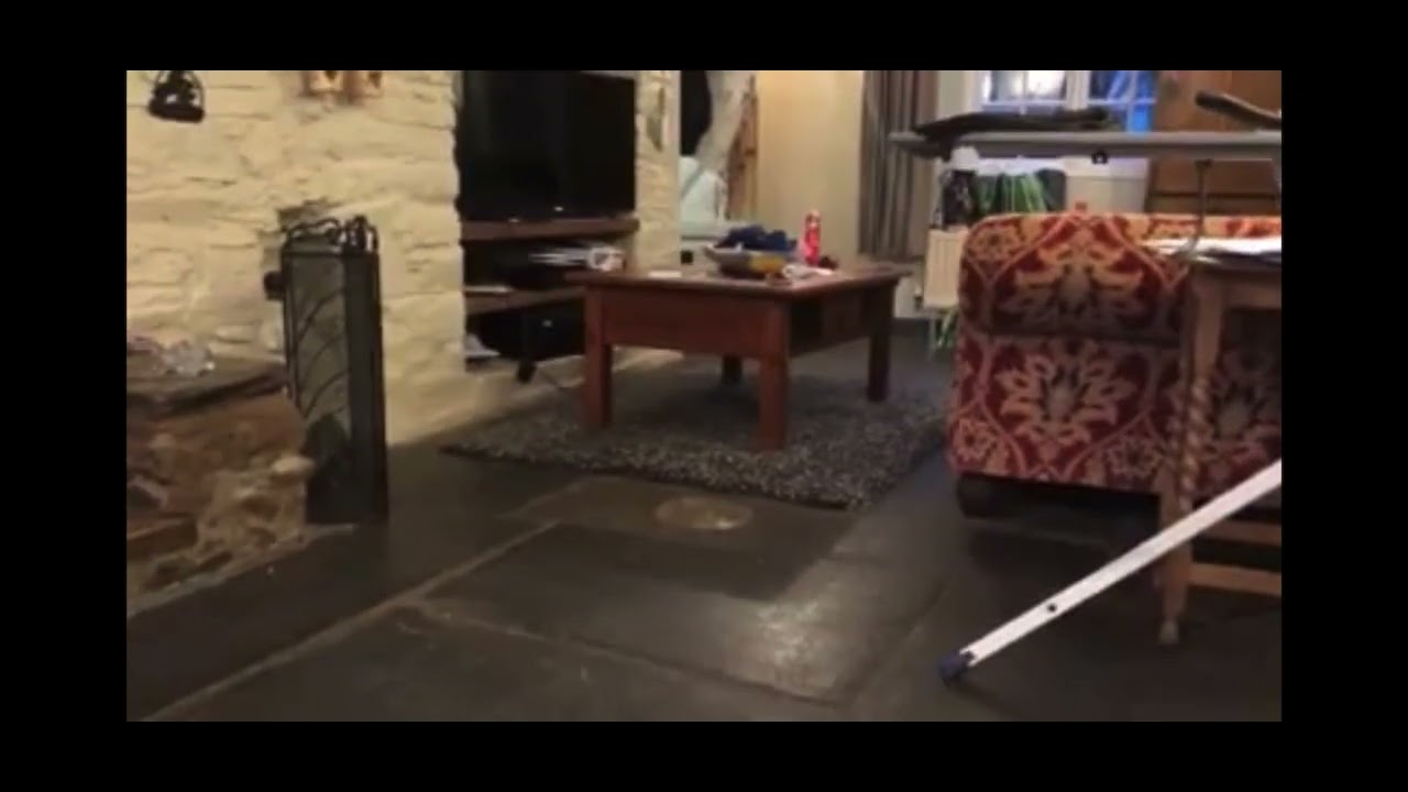What command is best for training a dog?