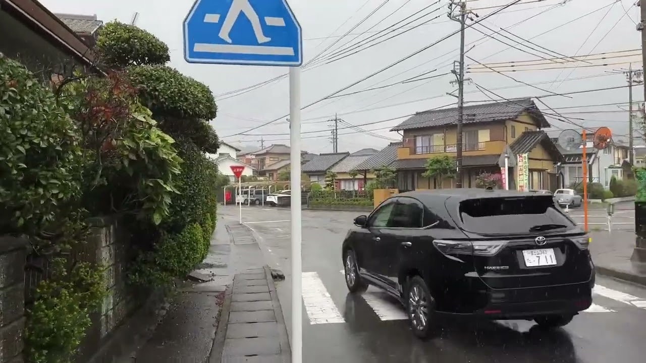 Yağmurlu Havada Yürüyüş (Rain Walk )
