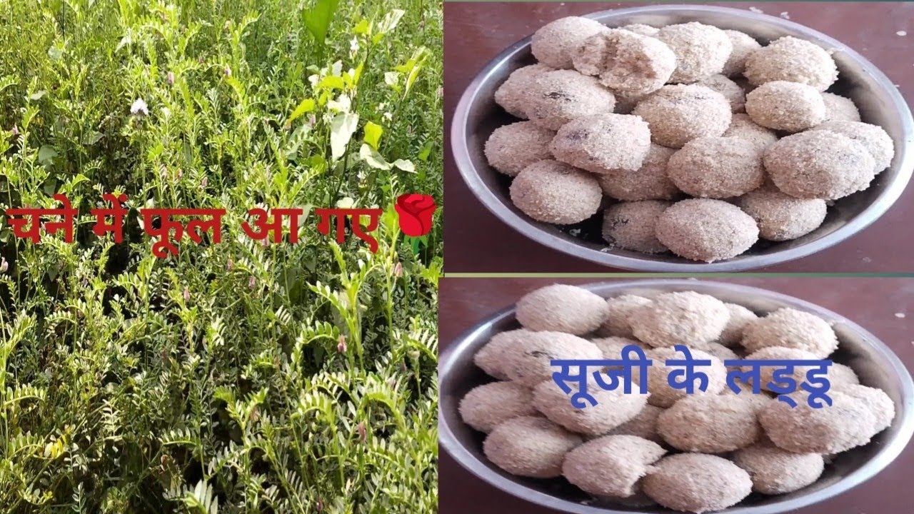 मै बनाई सूजी के लड्डू🤩#Day89#ArchanaVlogerJaunpur#trendingladdu#viralvlog#