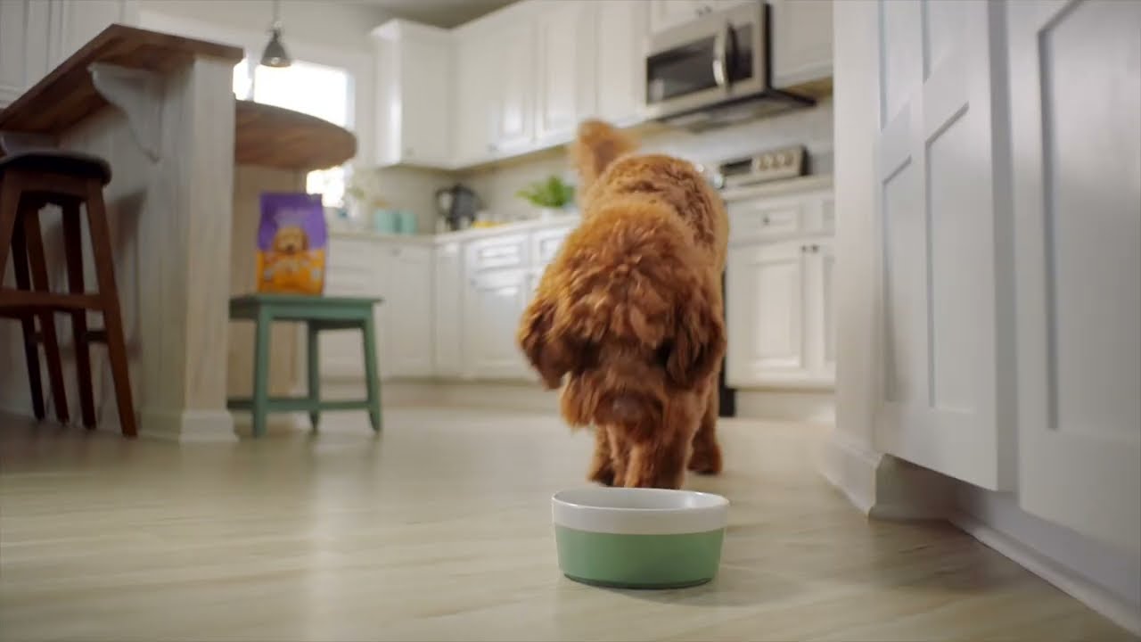 Halo Holistic Dog Food and Cat Food 2022 (30 seconds)